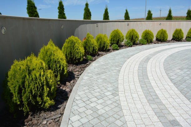 Best Driveway Resurfacing Pavers  in Barnwell, SC